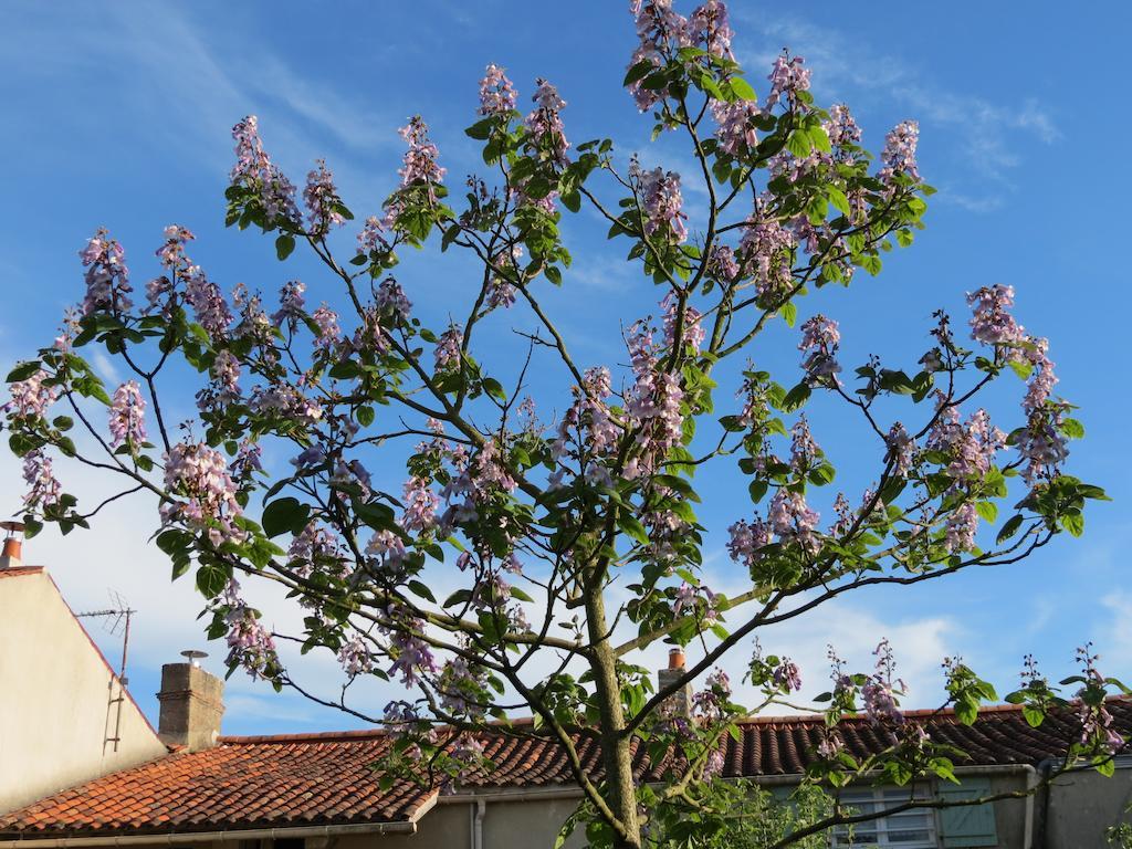 L'Aubinoise Bed & Breakfast Saint-Aubin-la-Plaine Eksteriør bilde